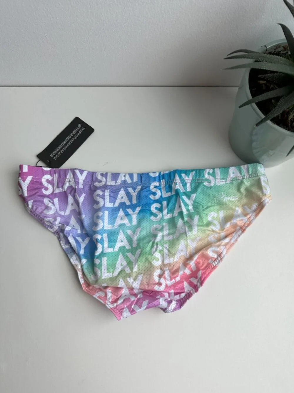 ThePack - Slay Pride Brief - Multi (M)